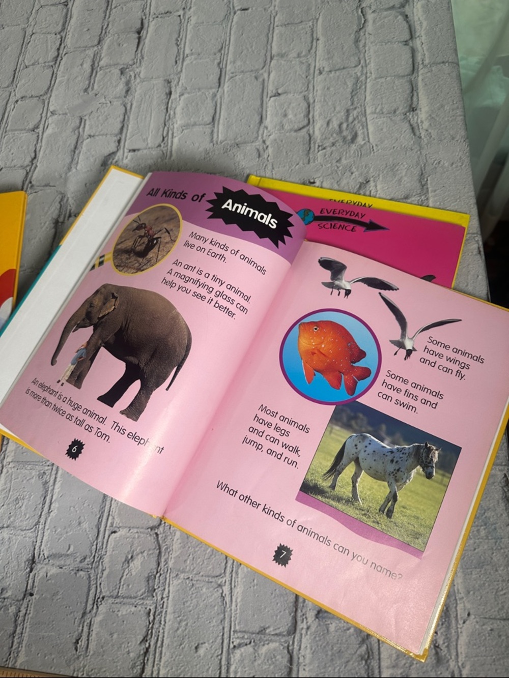 Everyday Science Series: by Peter Riley Science books for kids age 4-8 -7 Books - Picture 10 of 15